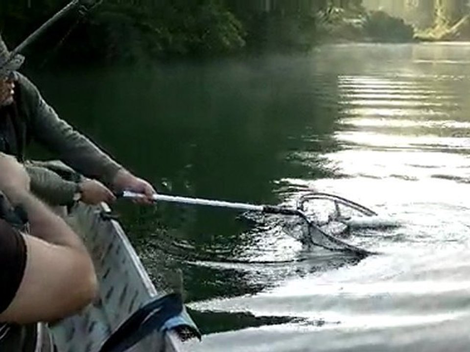 Dr. Bertanın turnayı yakalayışı.