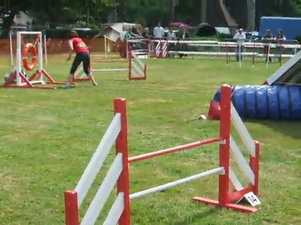 Artéis Agility 1 Trophée par équipe 2011