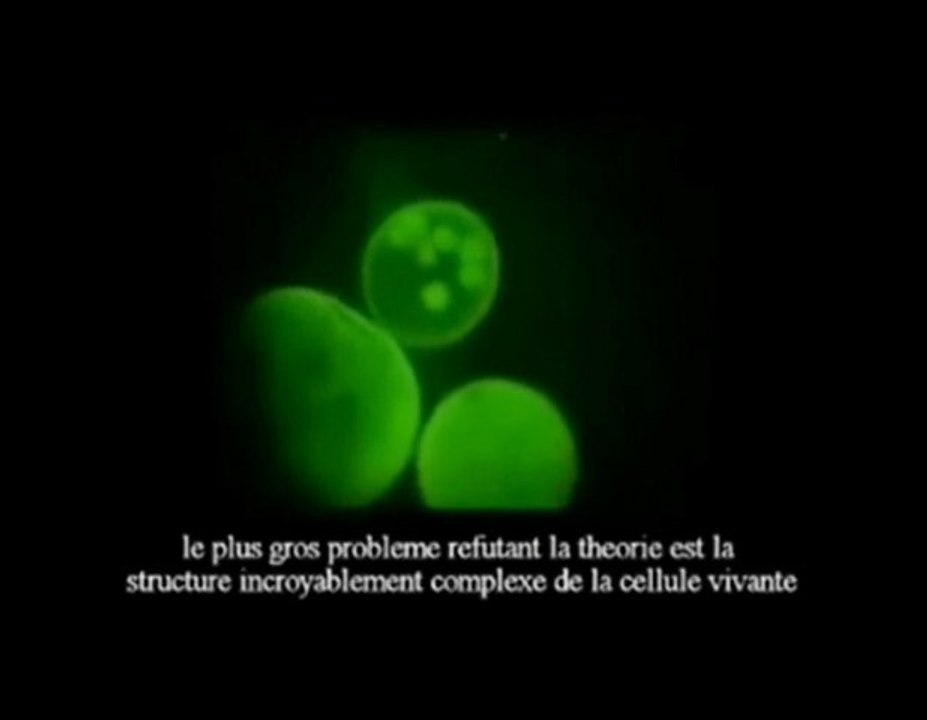 La Structure de la Cellule et la Theorie de L'evolution