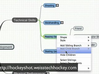 Home Hockey Training Center: Strategy
