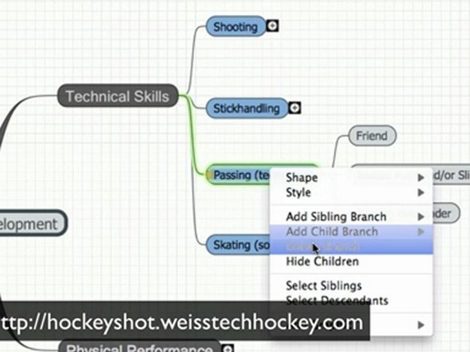 Home Hockey Training Center: Strategy