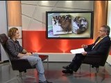 TV3 - Els matins - David Bisbal ens presenta 