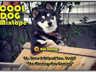 Cool Dog, The Mixtape