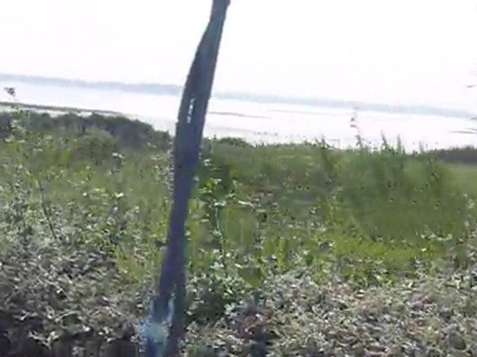 Randonnée en carriole avec Popeye, à l'île Tascon