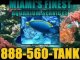 Tropical Fish, Tank Cleaning, Fish Tank Service, Miami FL -