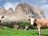 Dolomites Mountains - Great Attractions (Belluno, Italy)