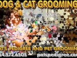Best Cat Grooming, Pet Cleaning, Pats Pet Grooming, Sunrise