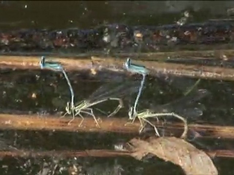 POLSKIE_PEJZAŻE_GUZOWY_PIEC