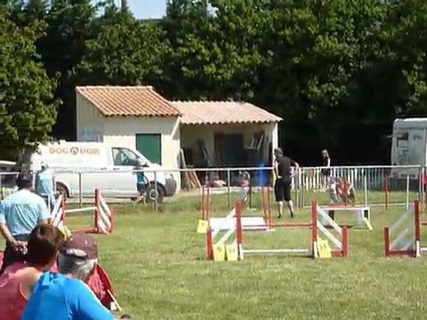 Brownie - SPGF Avignon - 1er parcours Agility