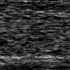 Pourquoi la victoire du fascisme en Allemagne ? -partie 5 sur 5-