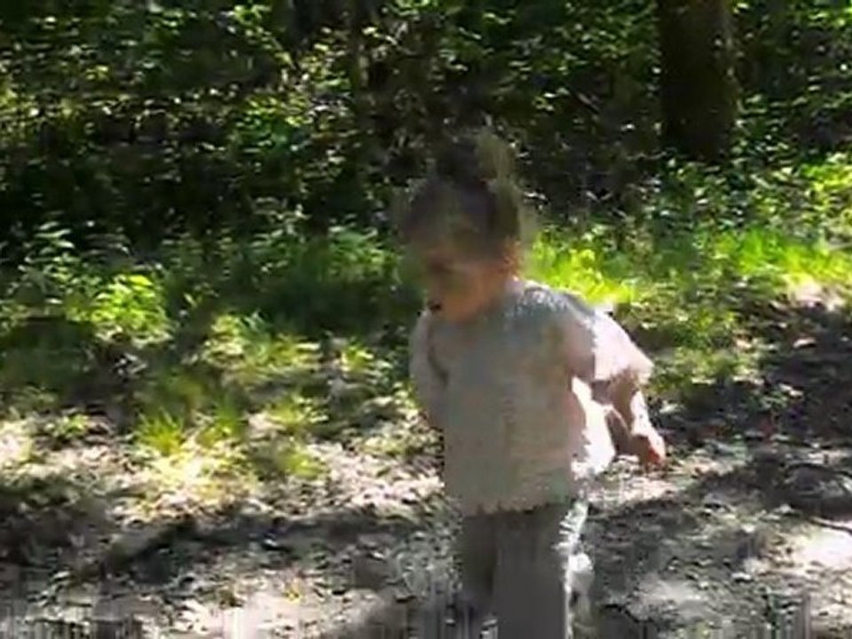 promenade en forêt