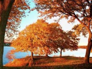 Seda Gülbeyaz..Kalbimde kendini arama bugün.