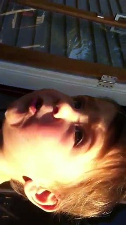 Jules & Les Z'oiseaux