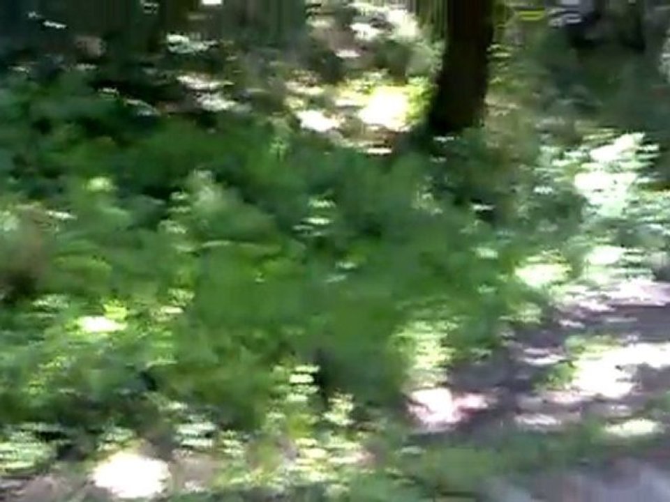 Spot d'entraînement