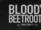 The Bloody Beetroots @ Argeles (extrait)