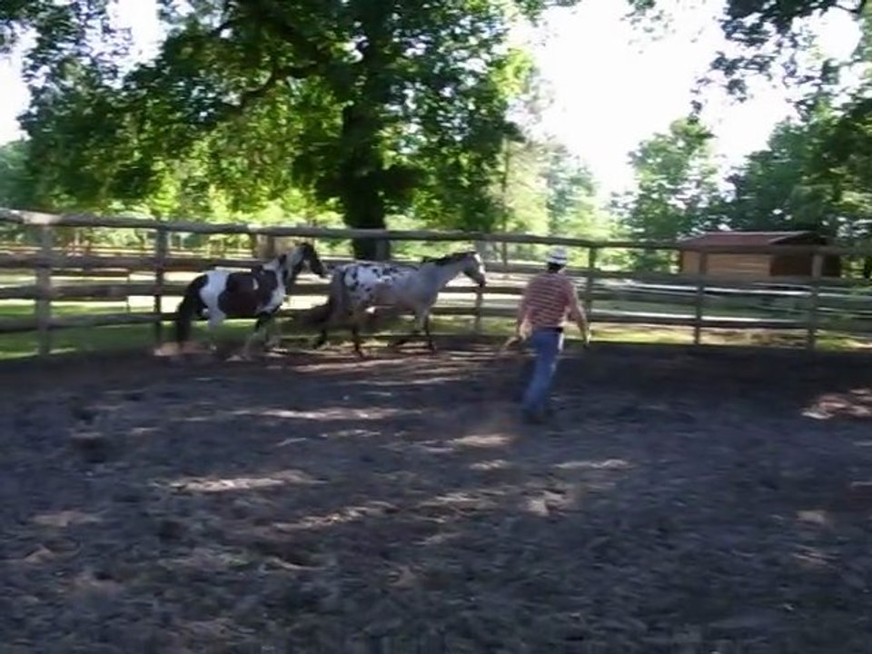 EQUITATION AMERICAINE AU RANCH PAR LE CHUCHOTEUR TONY CLEMENCEAU