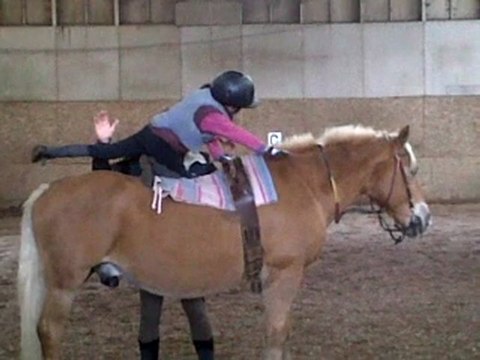 Séance de voltige et d'équitation adaptée avec la petite Laurie 2/6