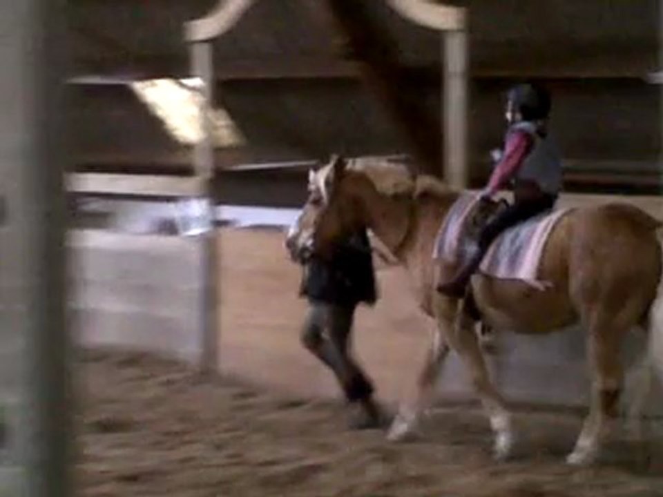 Séance de voltige et d'équitation adaptée avec la petite Laurie 5/6