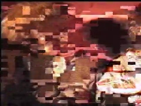 Kedi bar-Golden Shot-Born To Be Wild Cover