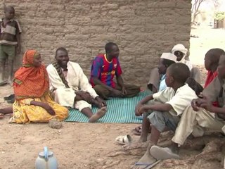 Chad plants trees to hold back Sahara
