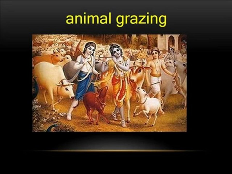 LORD KRISHNA