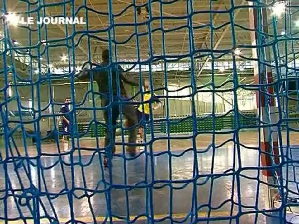 Le HBC Nantes à la porte de l'Europe (Handball D1)