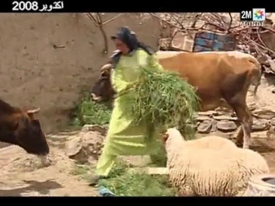 part3 إملشيل_ واقع الناس.. أم سحر الأسطورة؟