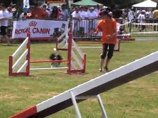 RAZ MOKET S 2 eme manche ethan
