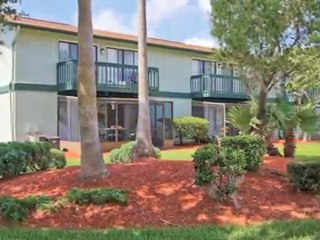 The Pines Apartments in Palm Bay, FL - ForRent.com