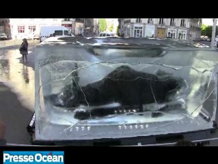 Le chien El Xolo est apparu à Nantes... dans un bloc de glace