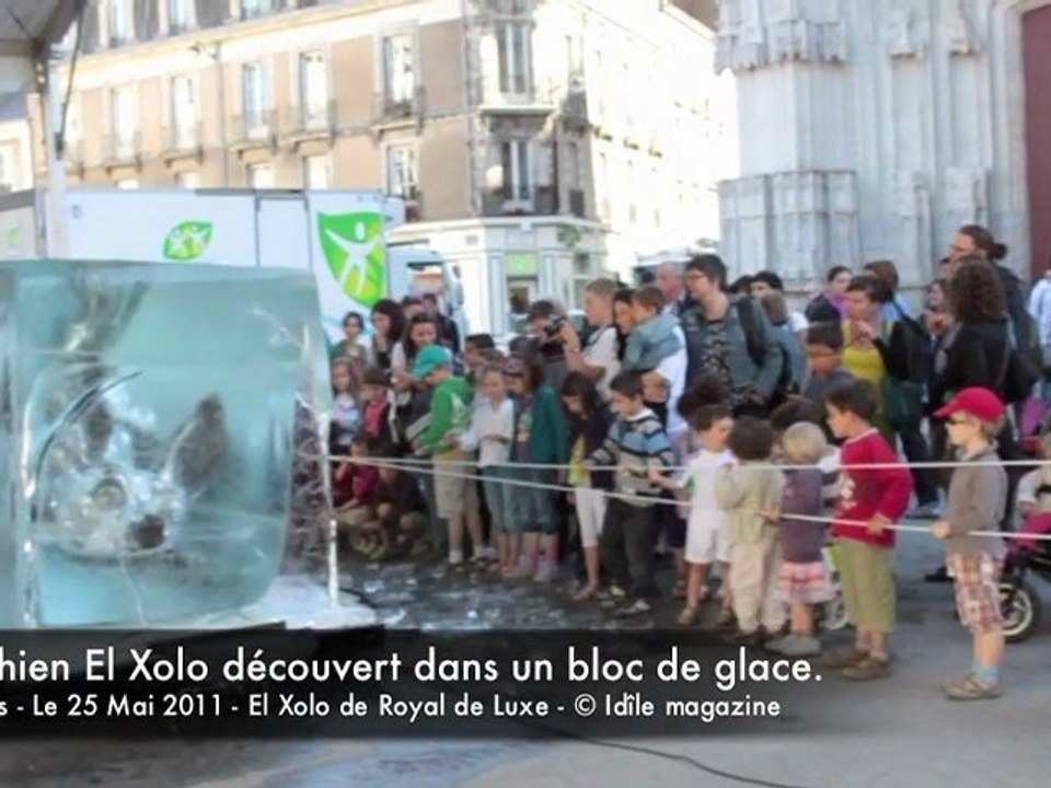Le Chien El Xolo de Royal De Luxe dans un bloc de glace à Nantes