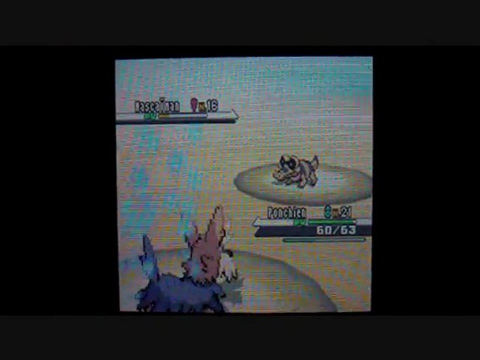 W.T Pokemon Blanc / 13 : Un croc de plus !