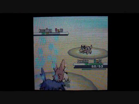 W.T Pokemon Blanc / 13 : Un croc de plus !