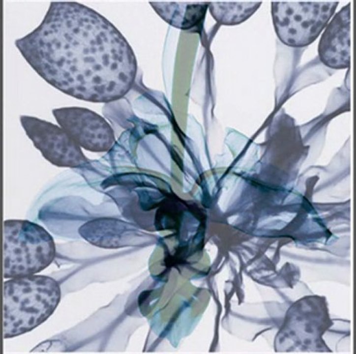 Kate and Anna McGarrigle - Roses Blanches