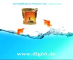 kristallklares aquarienwasser