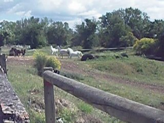 dorothée et bomba quand les belle on envie de péter un délire