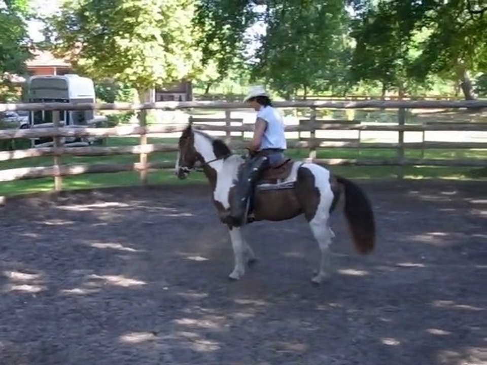 EDUCATION DU CHEVAL  EN EQUITATION AMERICAINE AVEC CHEVAL PAINT HORSE PAR L'EDUCATEUR EQUINS  TONY CLEMENCEAU