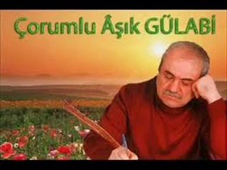 Aşık Gülabi - Benden Neler Çaldın Yıllar