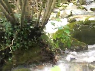CIMG0658 eaux vives