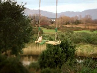 THE SEESAW