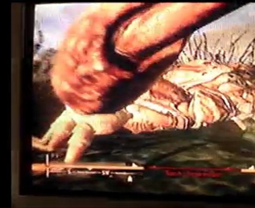 FALLOUT NEW VEGAS délire . MIZU ENJOYEMENT !!!