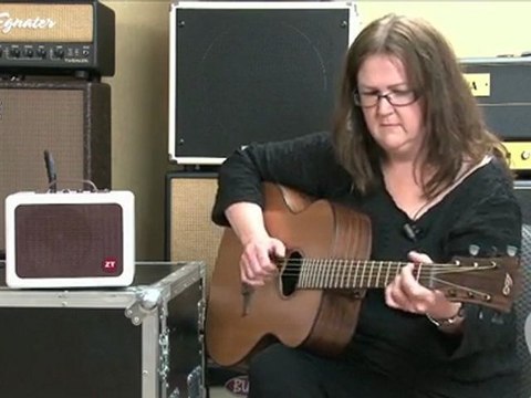 ZT Amplifiers Lunchbox Acoustic