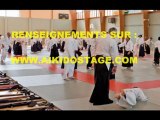 AIKIDO TRADITIONNEL A PONTARLIER (25) AVEC ALAIN PEYRACHE SHIHAN