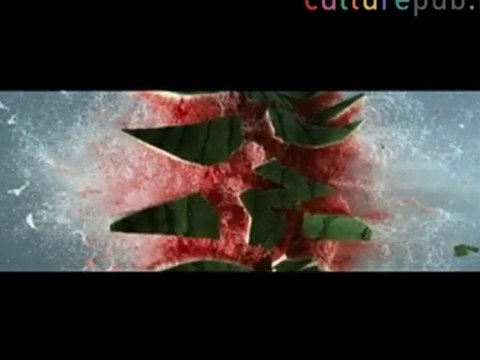 Guns kill: kill guns ! UK campaign for Choice