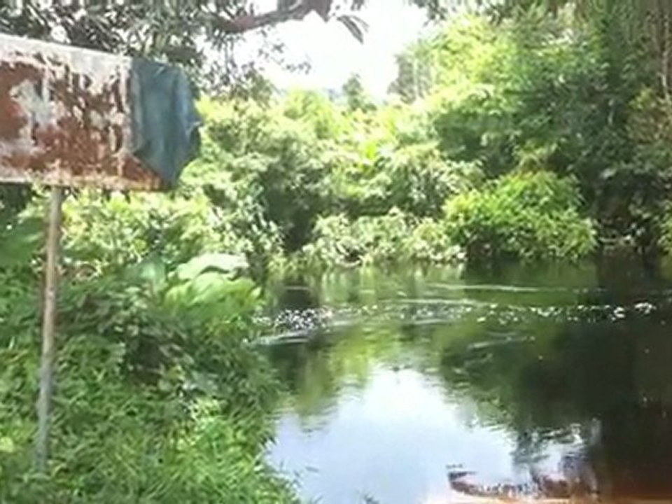 Eskol