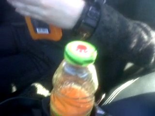 Mishka PNG Image 🖼️