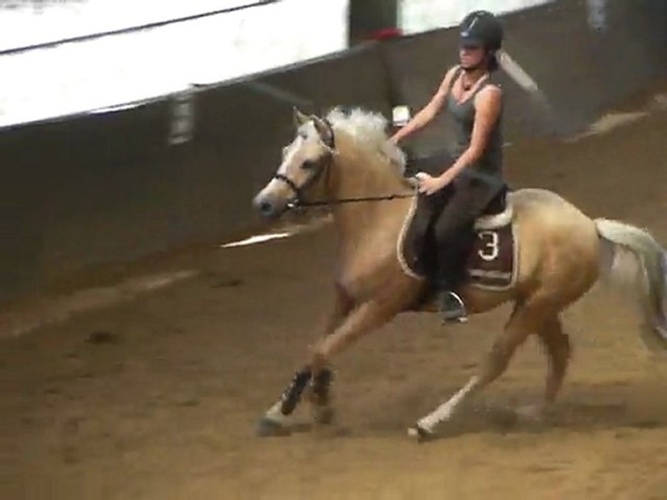 travail au trot et au galop