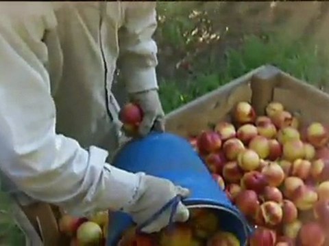 TV3 - Dilluns, 23.35, a TV3 - Els reptes del benestar, a Àgora