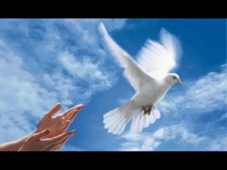 Des Solutions Sont Possible pour un Changement !