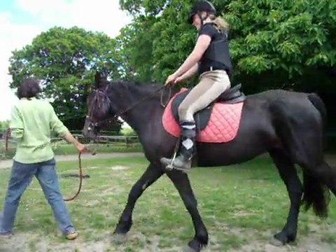 débourrage, suite: premiers pas montée